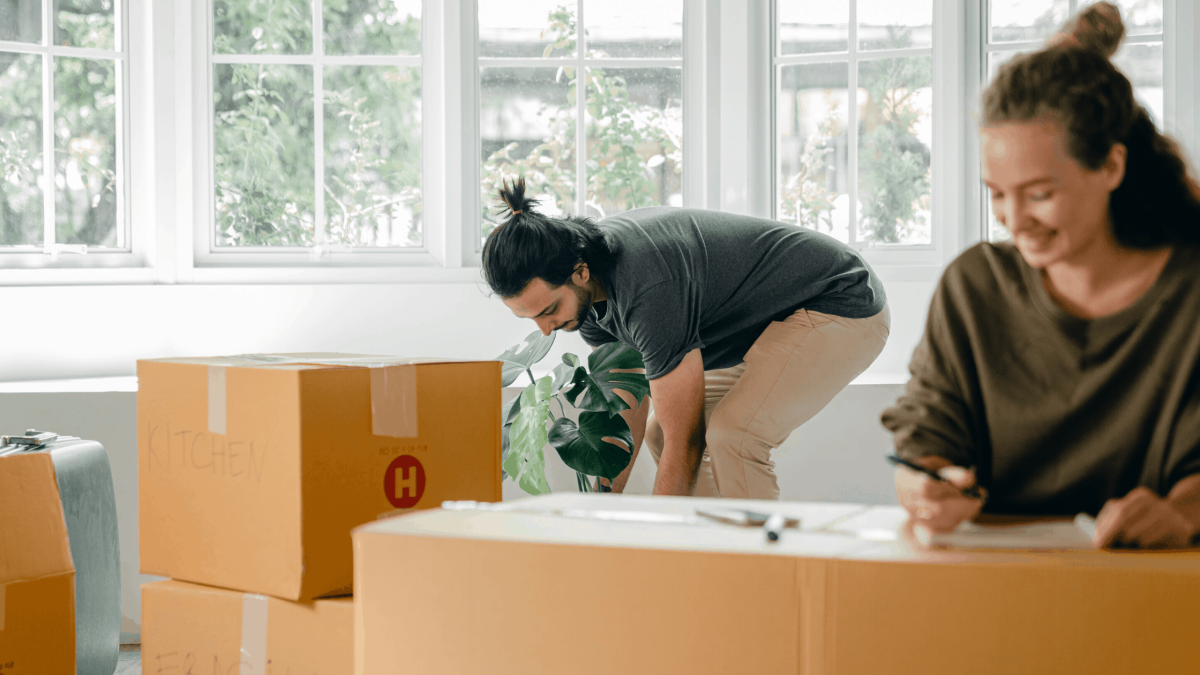 Reliable Stafford Removals Company Offering Professional Moving Solutions