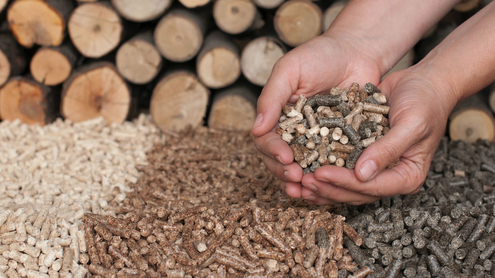 Bulk Wood Pellets for Consistent and Efficient Burning