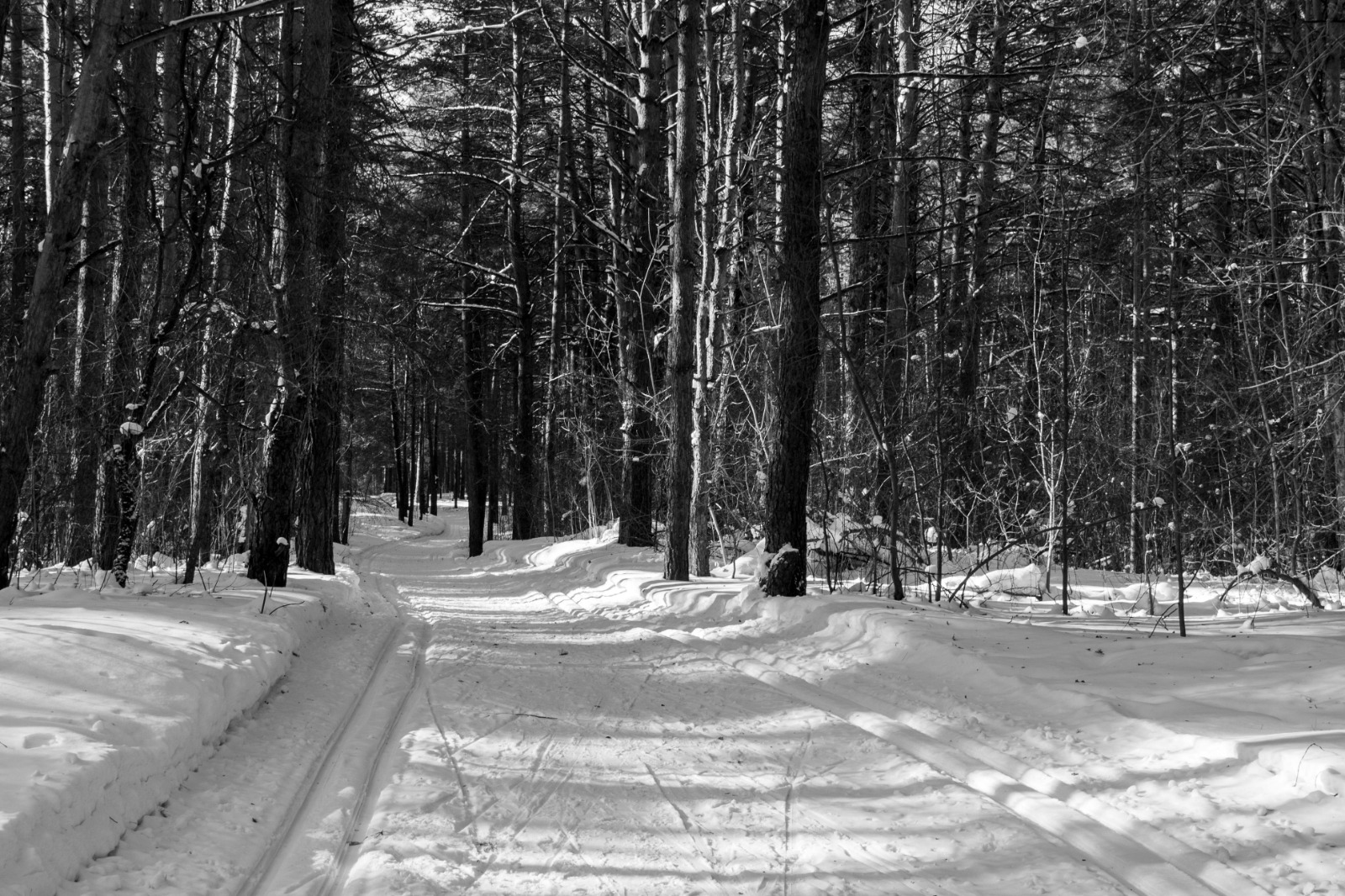 Cool Walking Trails Near Me with Stunning Natural Landscapes