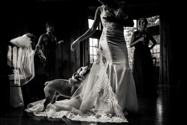 Wedding Photographer Inspired by Natural Light