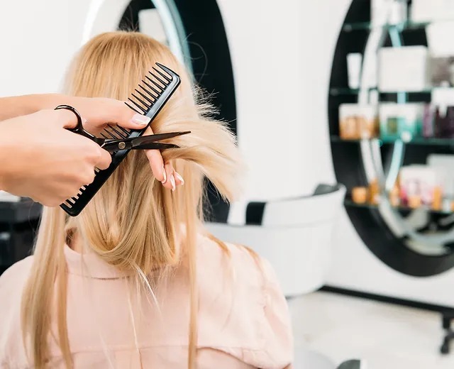 Advanced Ionic Hair Dryer for Frizzy Hair Care