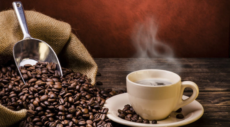 Meilleures expériences dans un coffee shop espagne: Guide complet