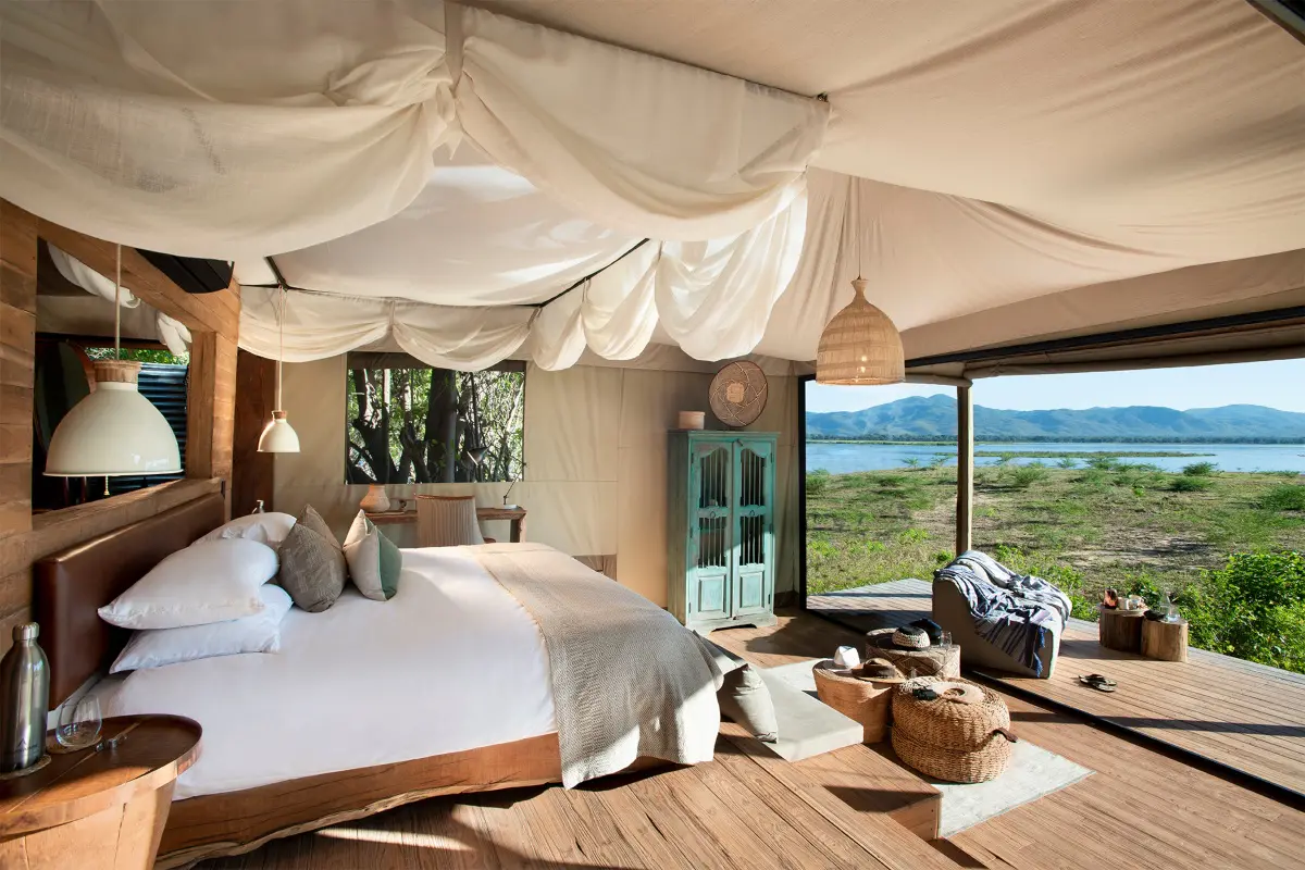 Explore Premier South African Safari Destinations in Style