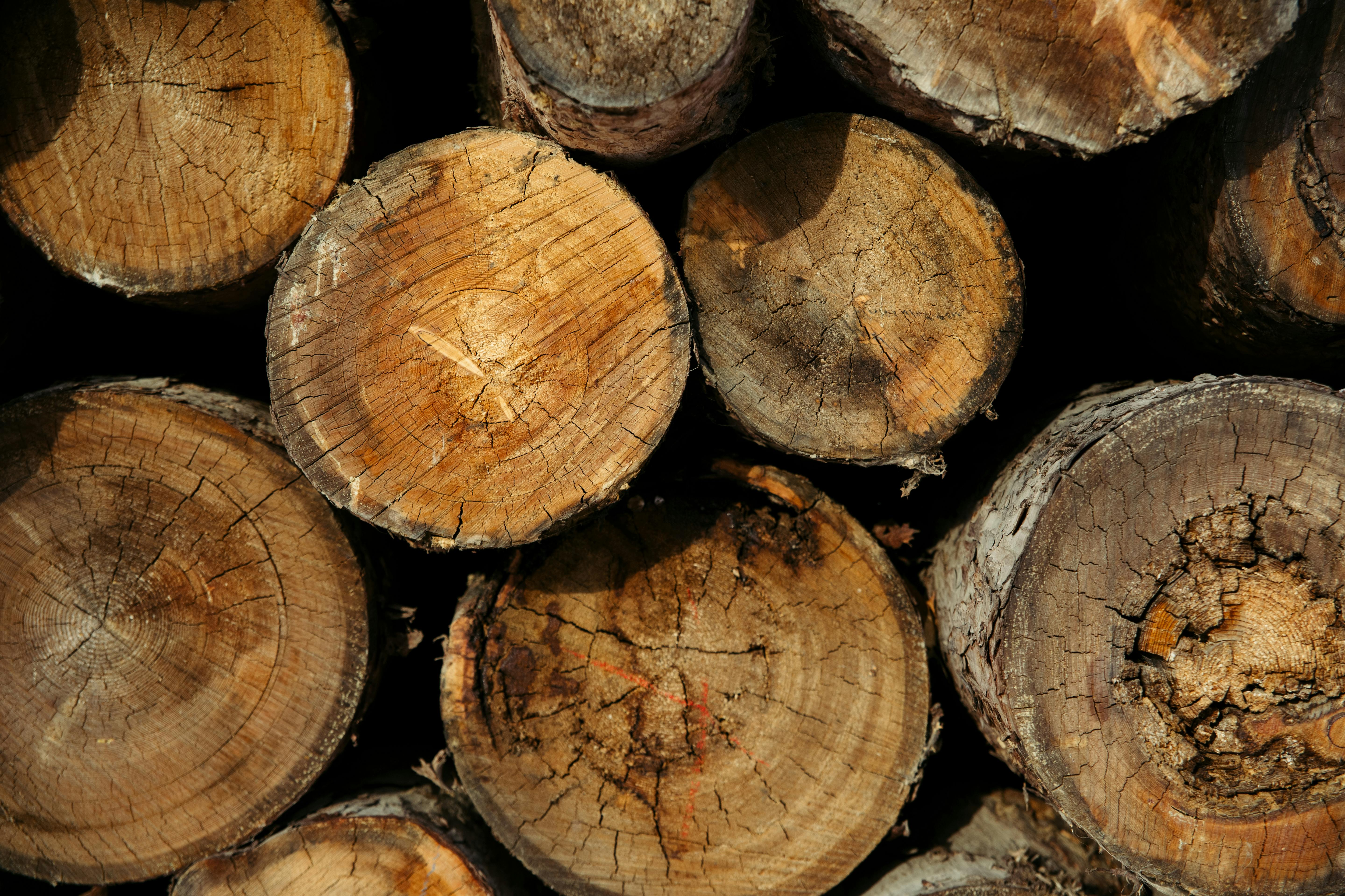 Find the Best Wood Briquette Supplier France for Your Energy Needs