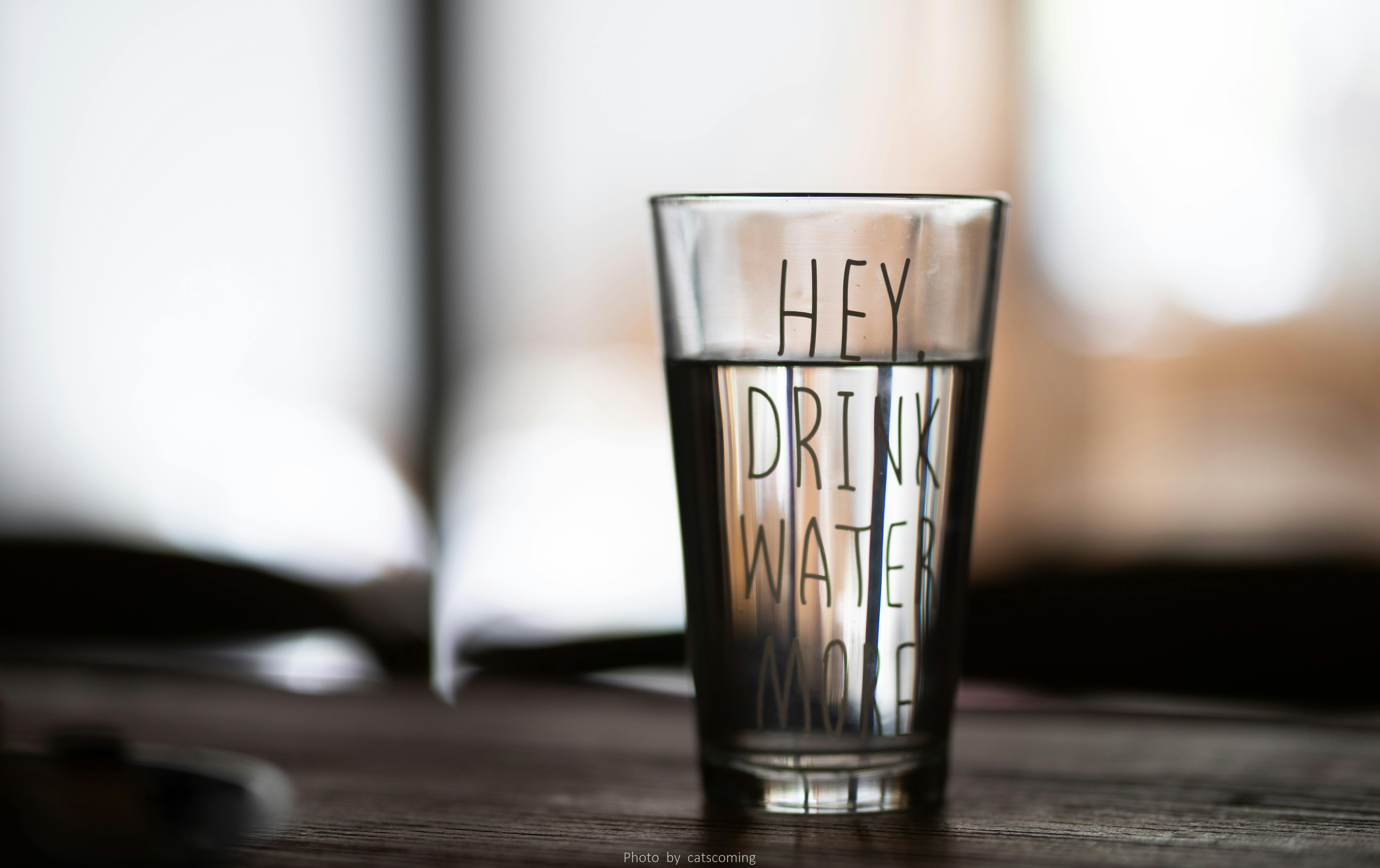 Pur or Brita Water Pitcher – Pros, Cons, and Filtration Technology Explained