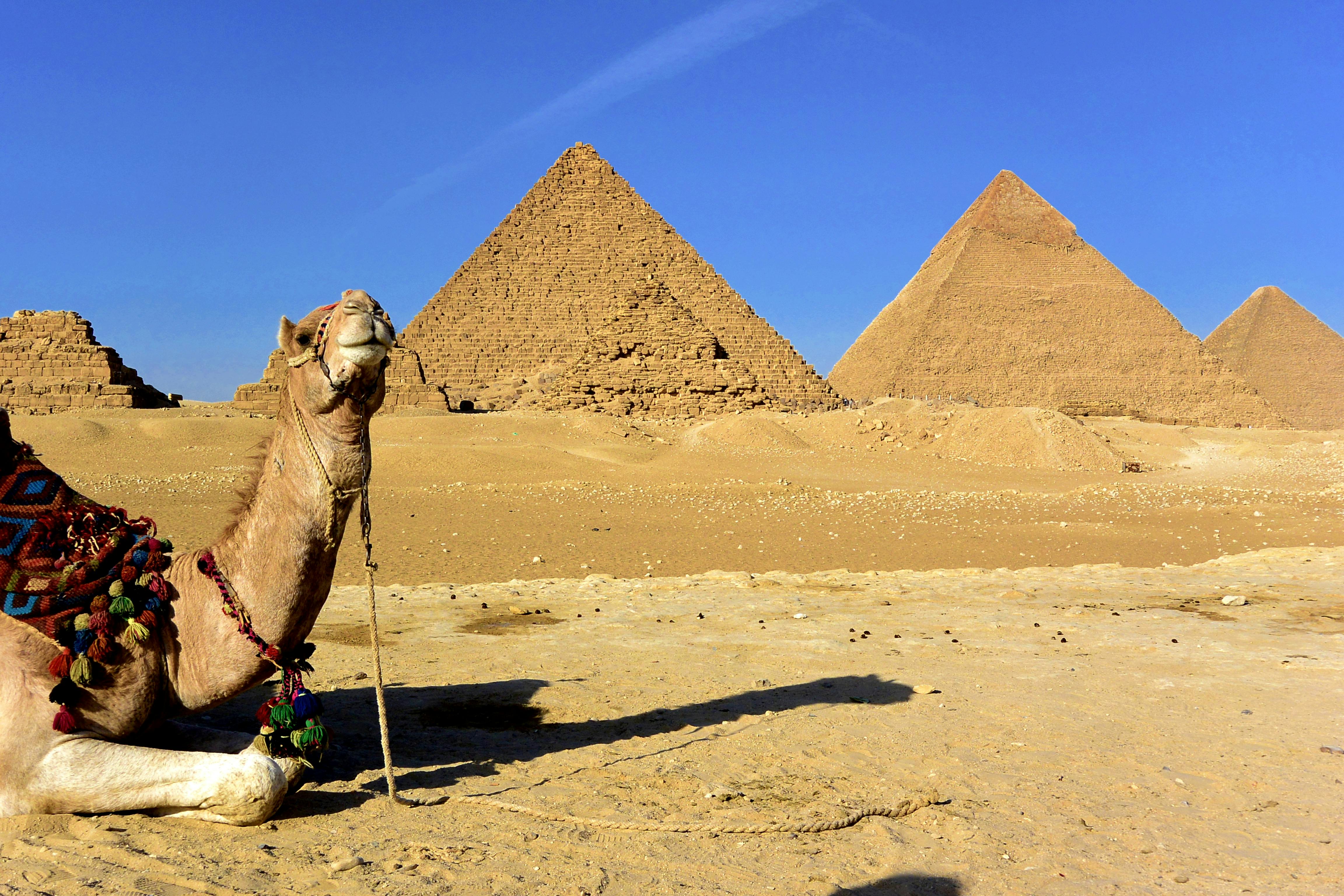 Affordable Jordan and Egypt Pilgrimage Tours for Groups