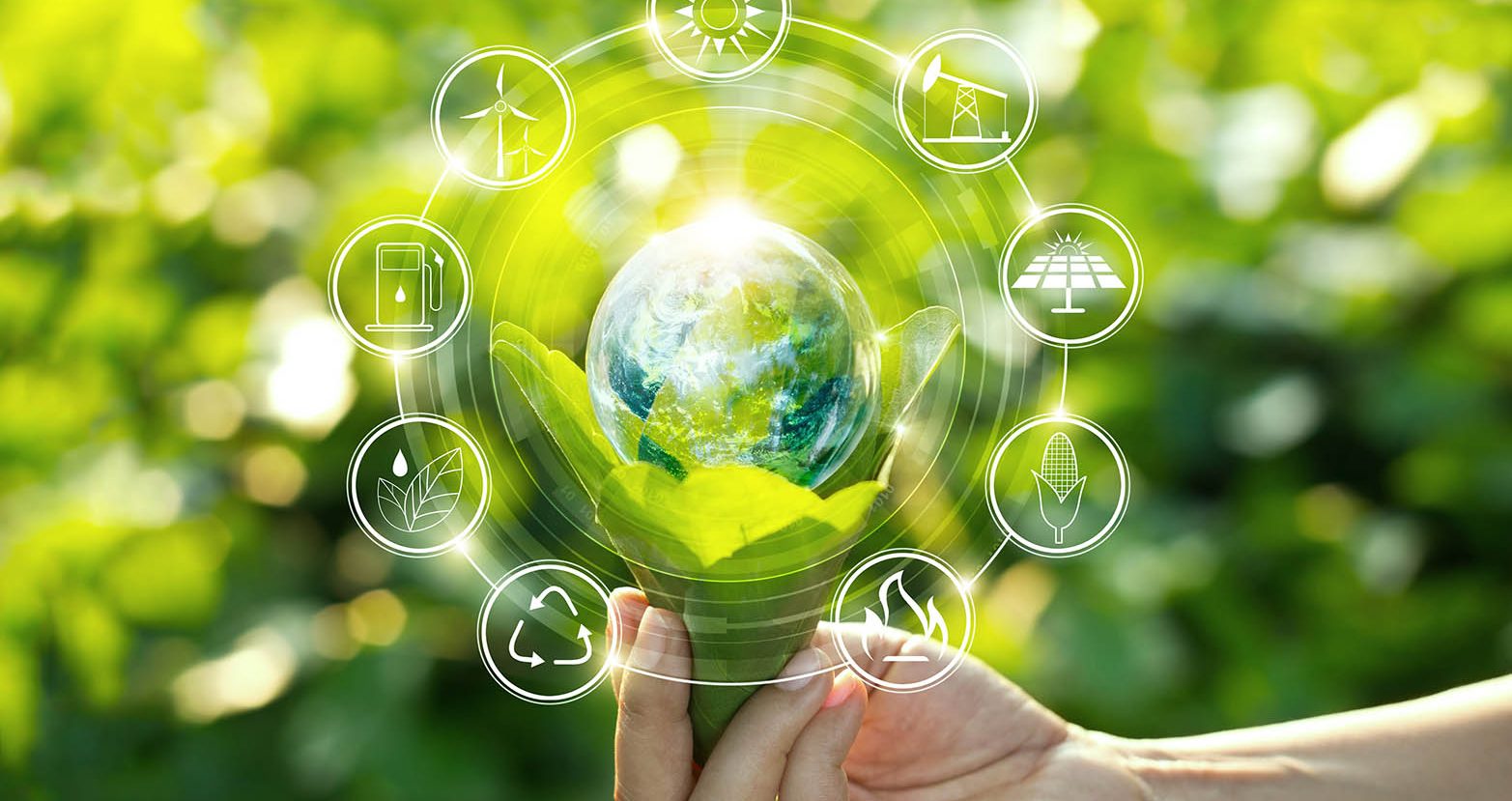 The Role of Sustainable Farming in Clean Eating