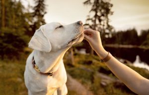 WhatsApp Image 2025-11-13 at 4.21.46 PM