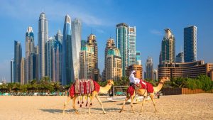 View,On,Dubai,Marina,,Camels,And,Famous,Jumeirah,Beach,In